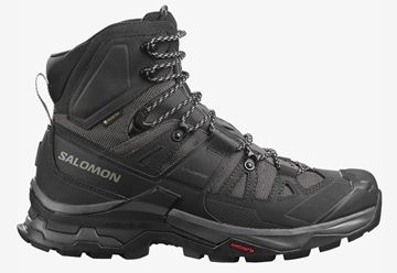 Picture of SALOMON QUEST 4 GTX